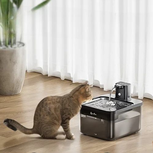 Fontaine à eau sans fil pour chat avec détection de mouvement – House of Kitty