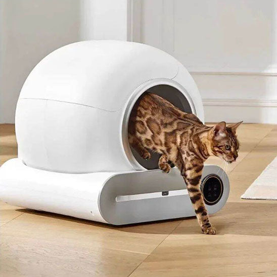 Litière autonettoyante connectée WiFi pour chat – House of Kitty